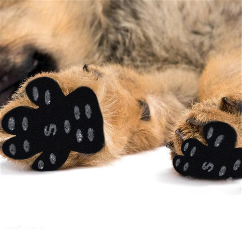 Anti-Slip Paw Protector Stickers for Dogs — Disposable Self-Adhesive Boot Replacements That Keep Paws Safe Indoors
