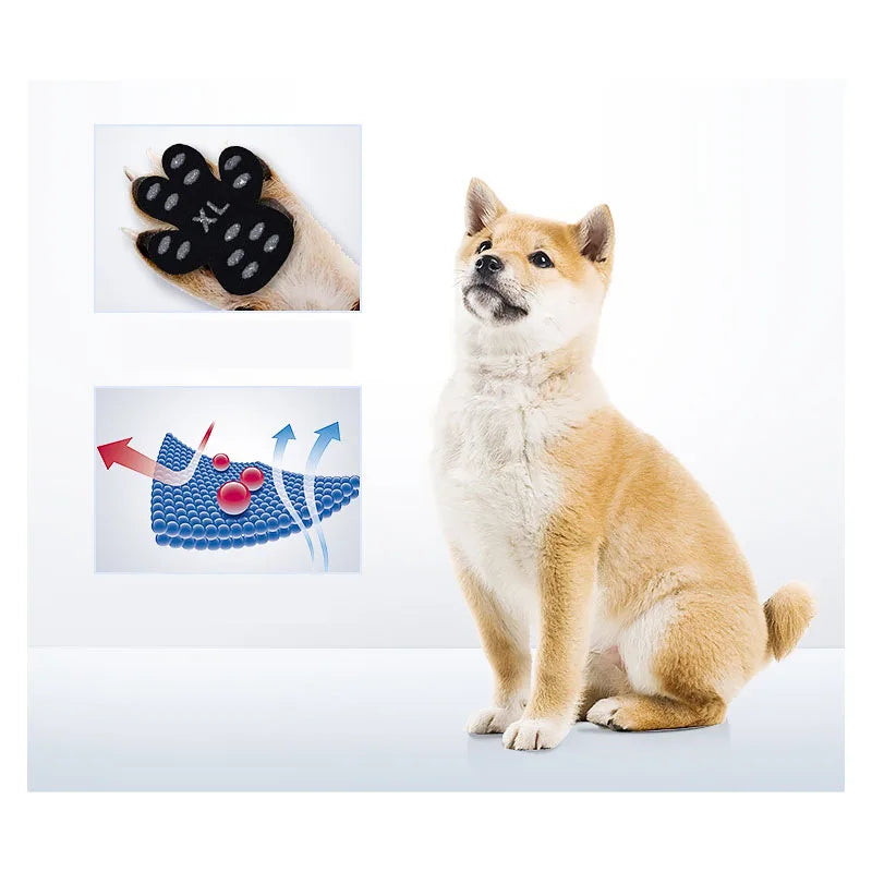 Anti-Slip Paw Protector Stickers for Dogs — Disposable Self-Adhesive Boot Replacements That Keep Paws Safe Indoors
